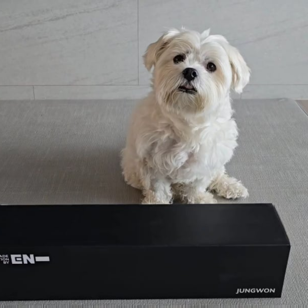 251021 Weverse: Jungwon