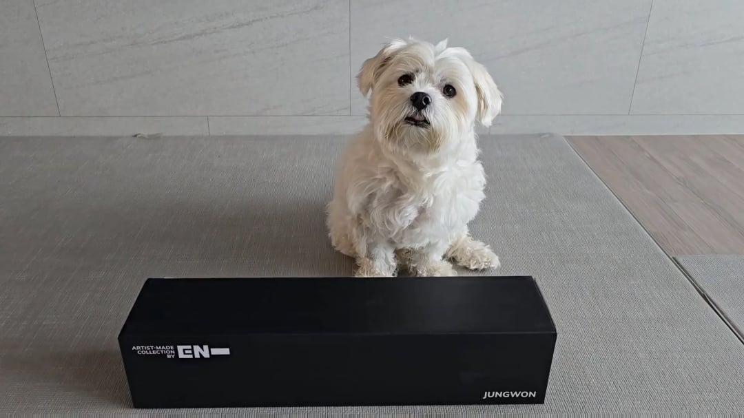 251021 Weverse: Jungwon