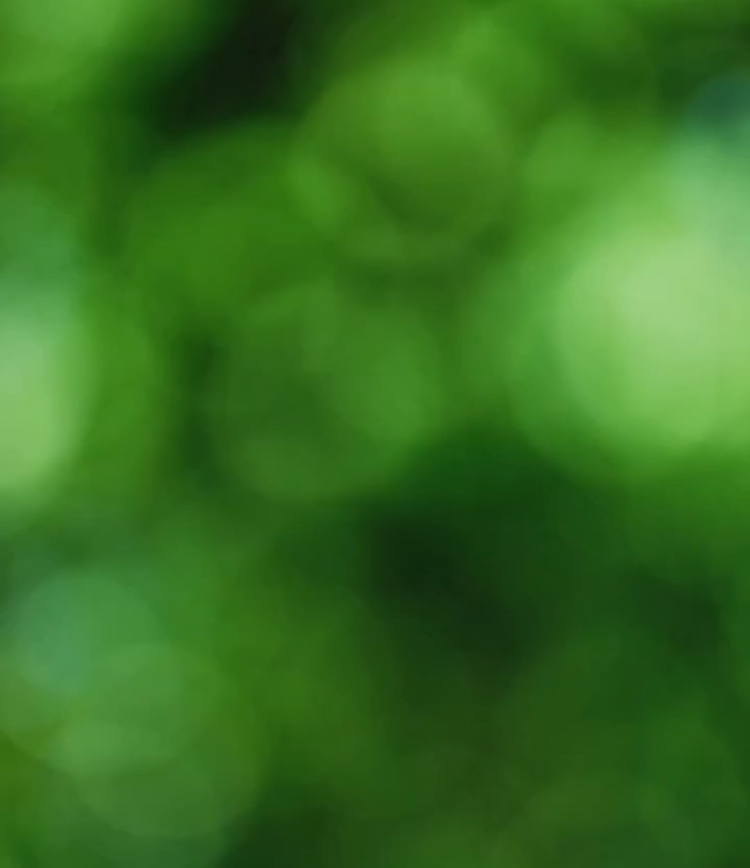 251029 HARPER'S BAZAAR Instagram: ENHYPEN November Issue with Prada