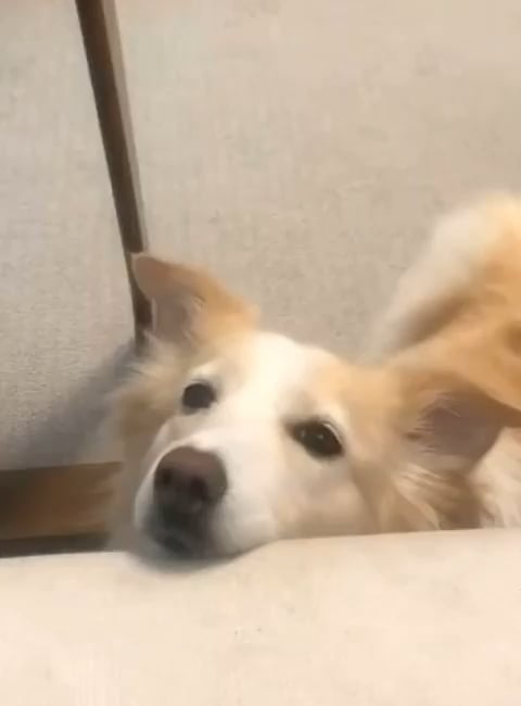 251031 Weverse: Jake