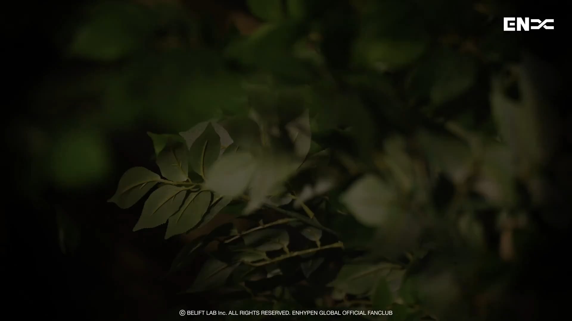 251013 [WEVERSE MEMBERSHIP] ENHYPEN 'EN-DLESS WORLD' TEASER [SPROUT]