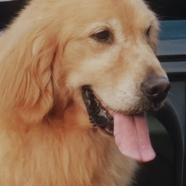 251015 Samyang Foods EN-MEP Campaign with Jay & Jungwon