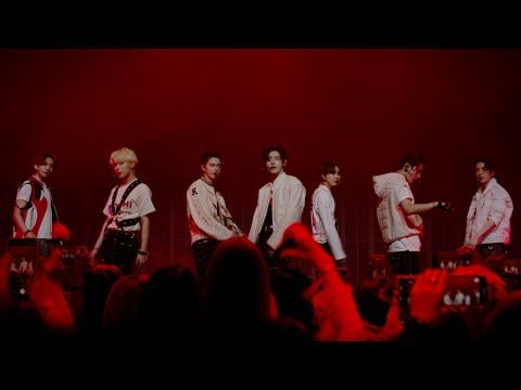 🎂Best Line Delivery - HEESEUNG Birthday 🦌 [2025]