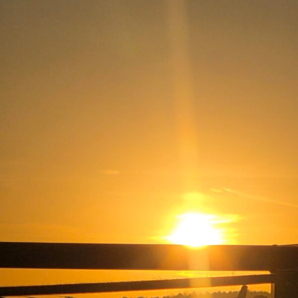 251110 Weverse: Sunoo