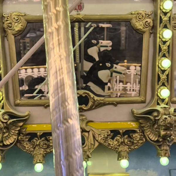 251123 Weverse: Jungwon (2)