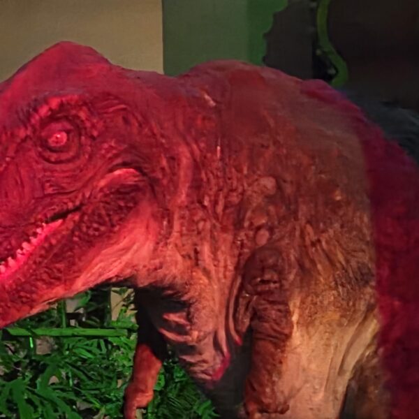 251122 Weverse: Jake