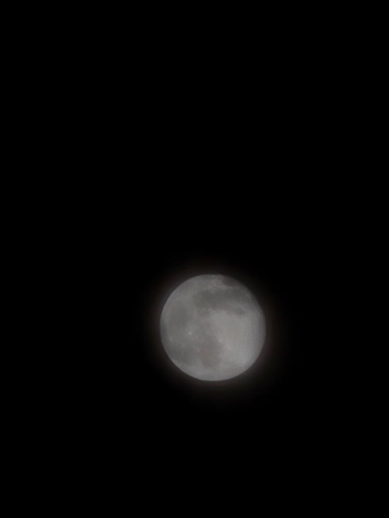 251113 Weverse: Sunoo