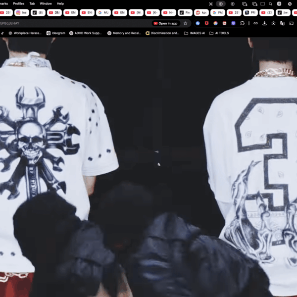 THE SIN VANISH INSPO