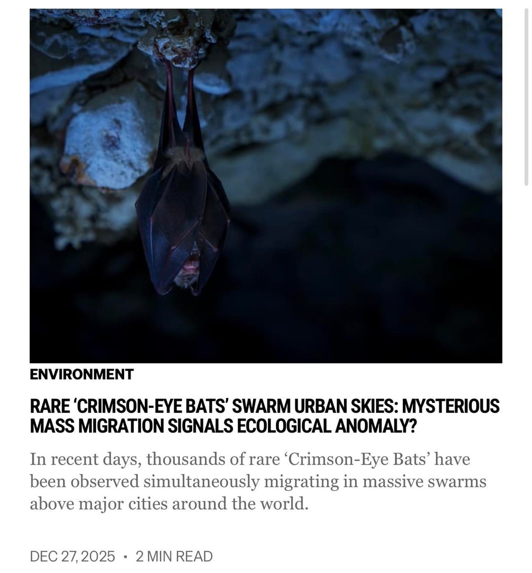 251227 Vampire Now added 2 new articles to the world section of their website