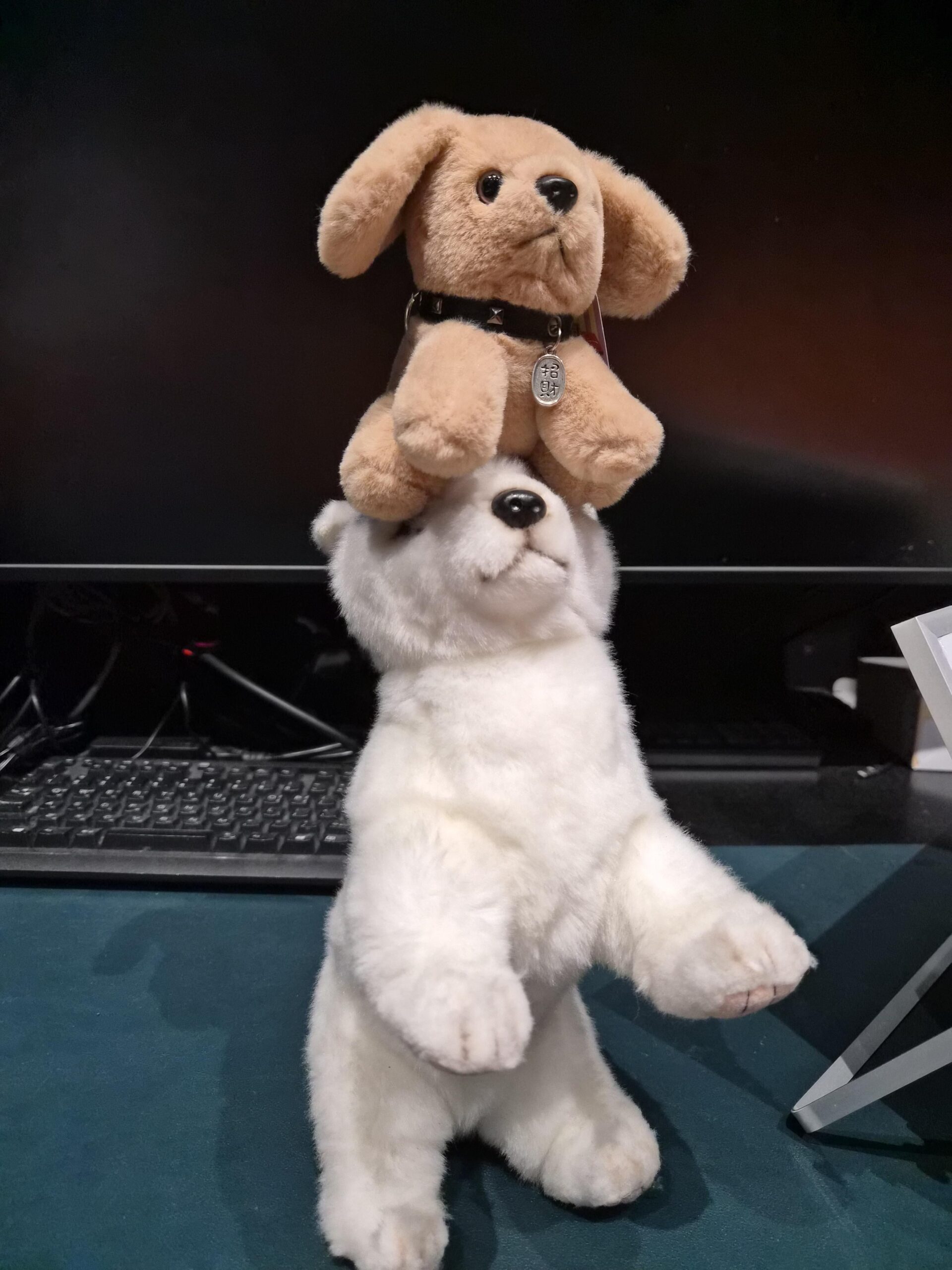 251217 Weverse: Jungwon