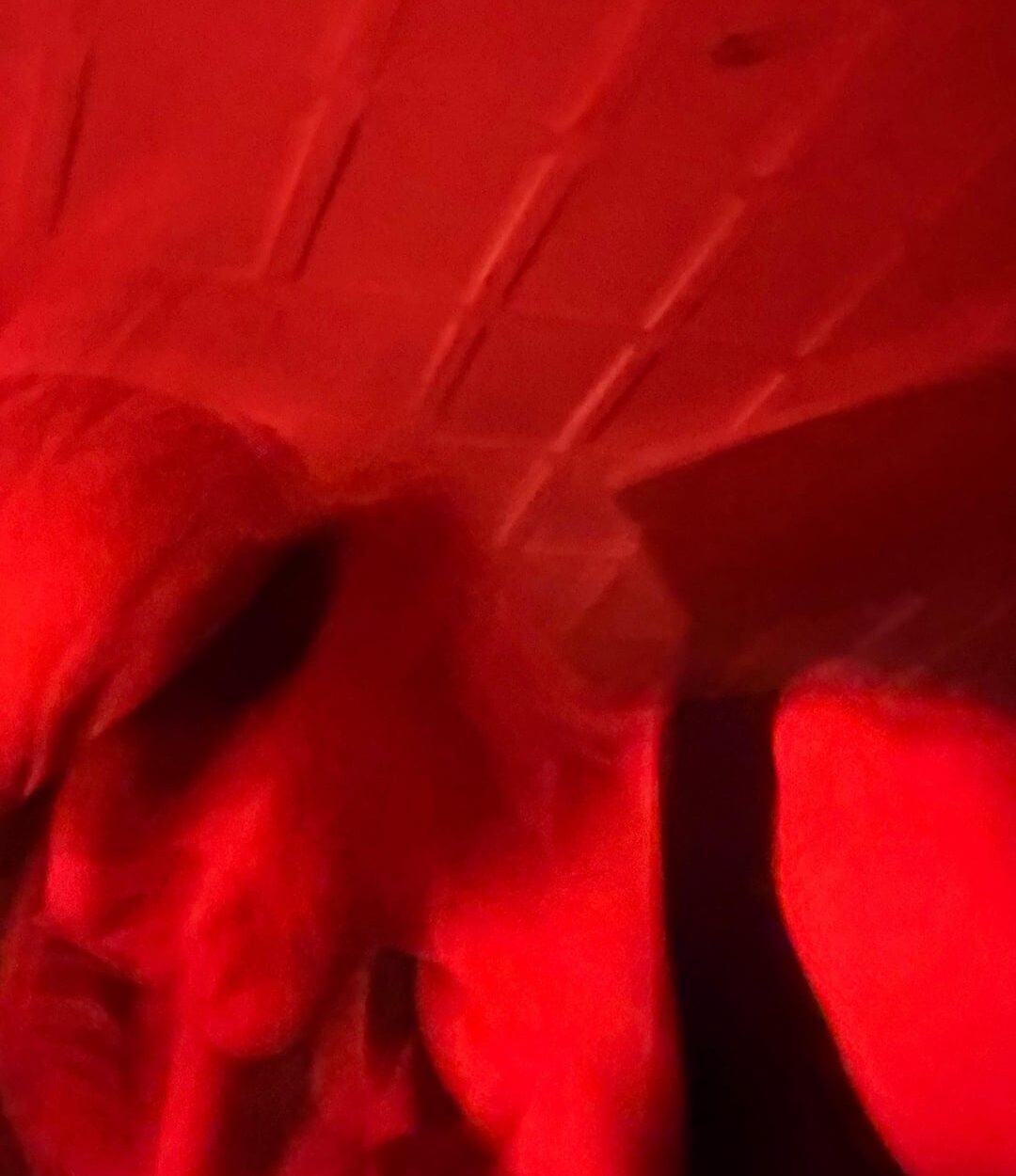 251210 Weverse: Ni-ki