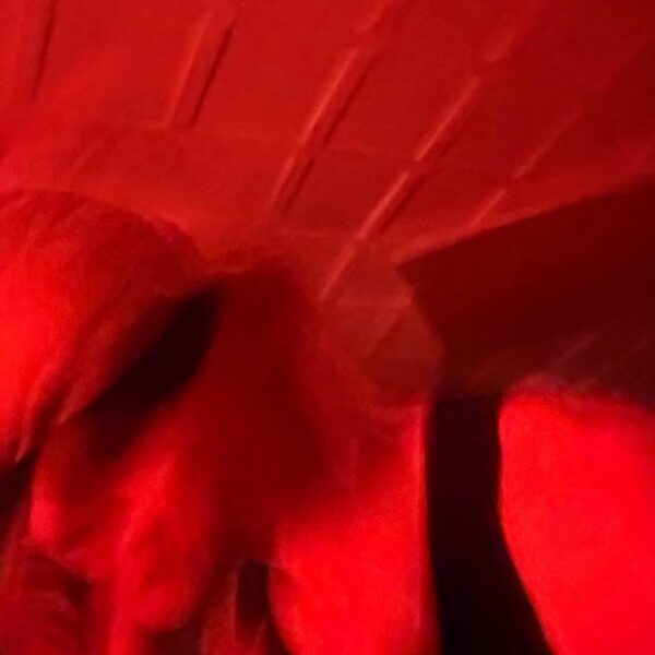 251210 Weverse: Ni-ki