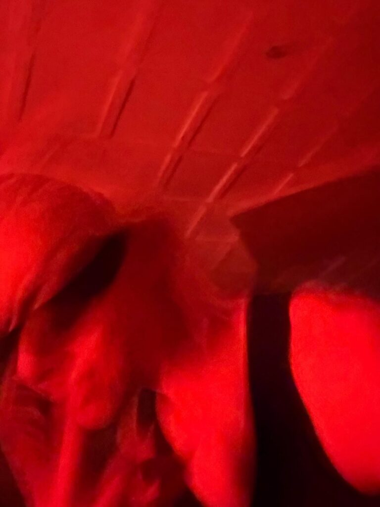 251210 Weverse: Ni-ki