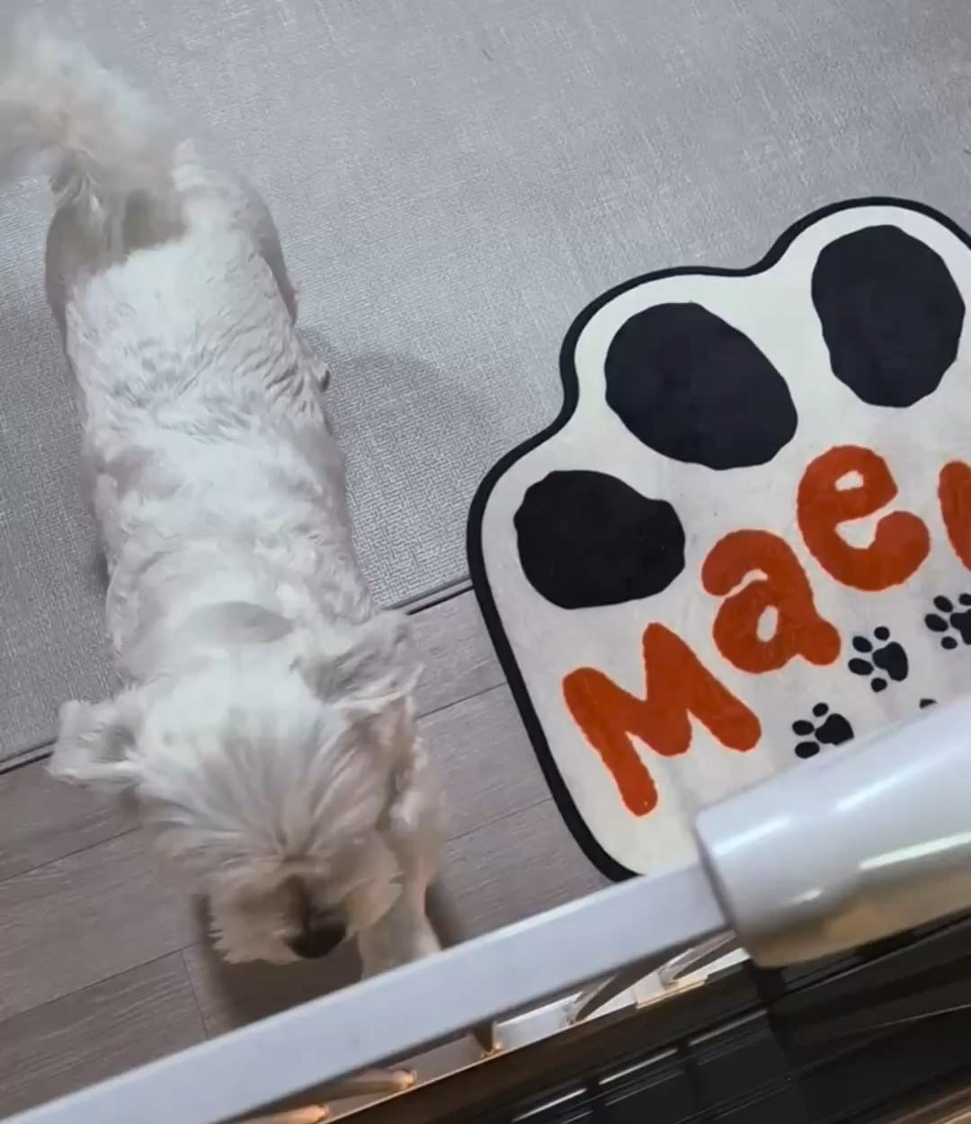 251207 Weverse: Jungwon