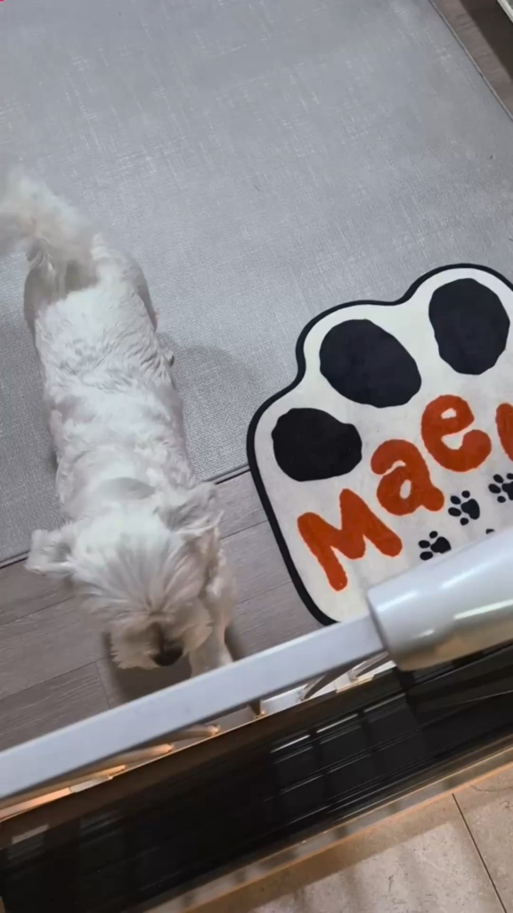 251207 Weverse: Jungwon