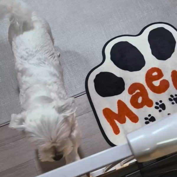 251207 Weverse: Jungwon