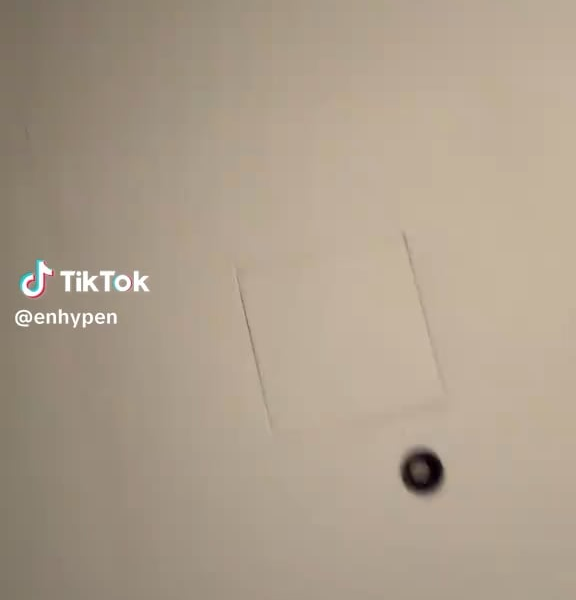 251227 Tiktok: Sunghoon