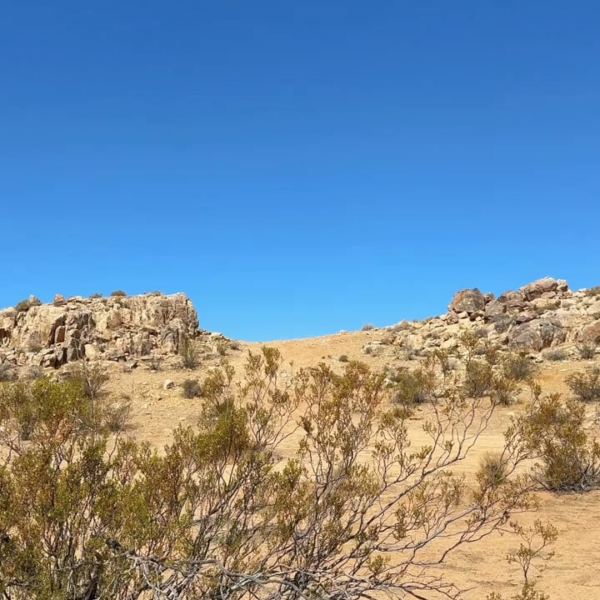 251230 TikTok: Jungwon