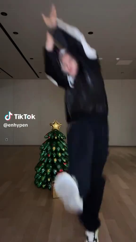 251225 Tiktok: Sunghoon, Heeseung & Ni-Ki