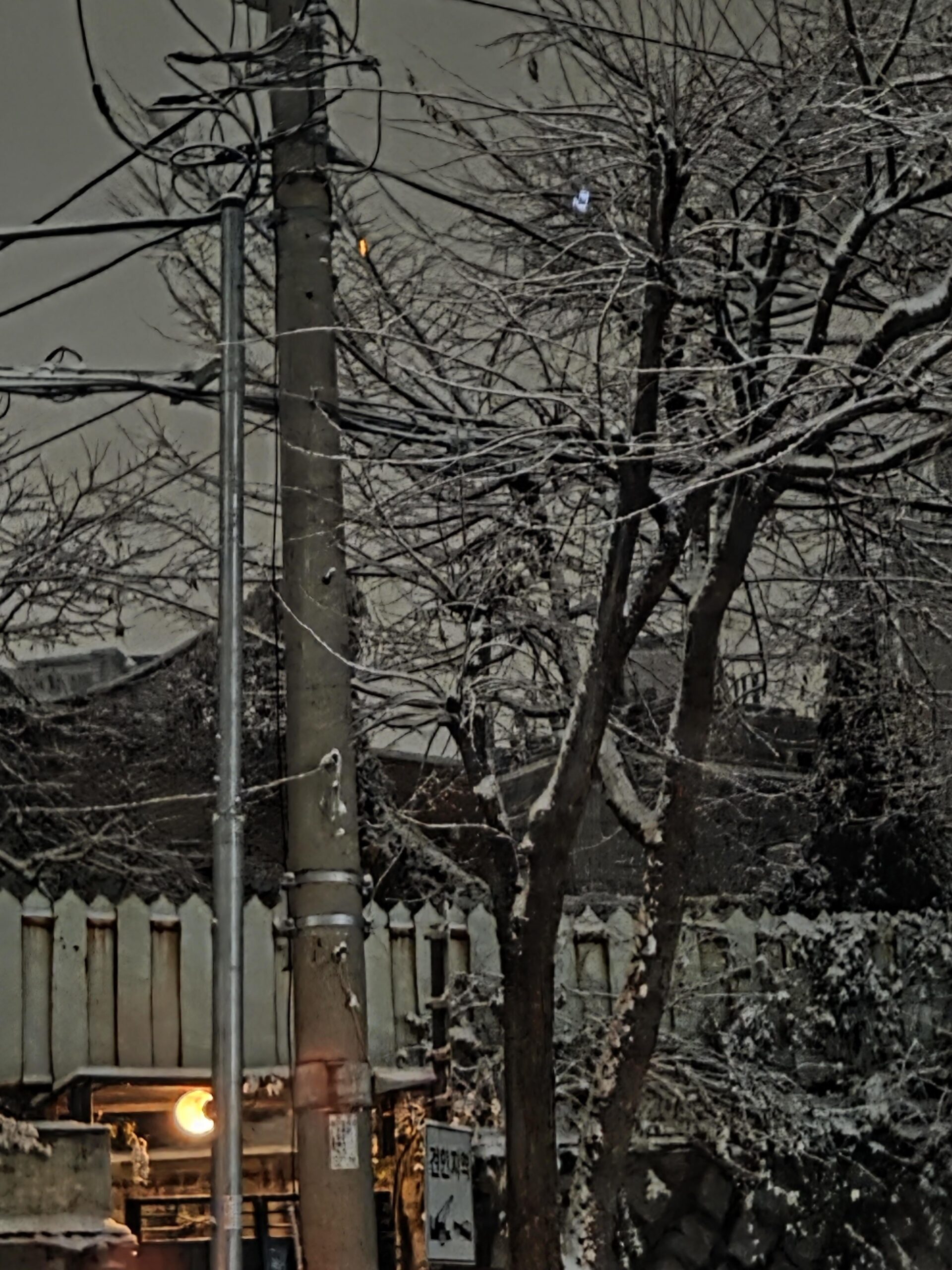 251204 Weverse: Sunghoon