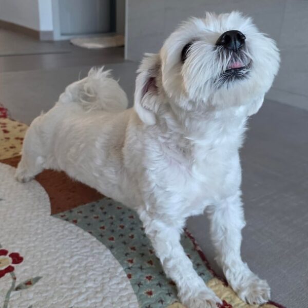 251219 Weverse: Jungwon