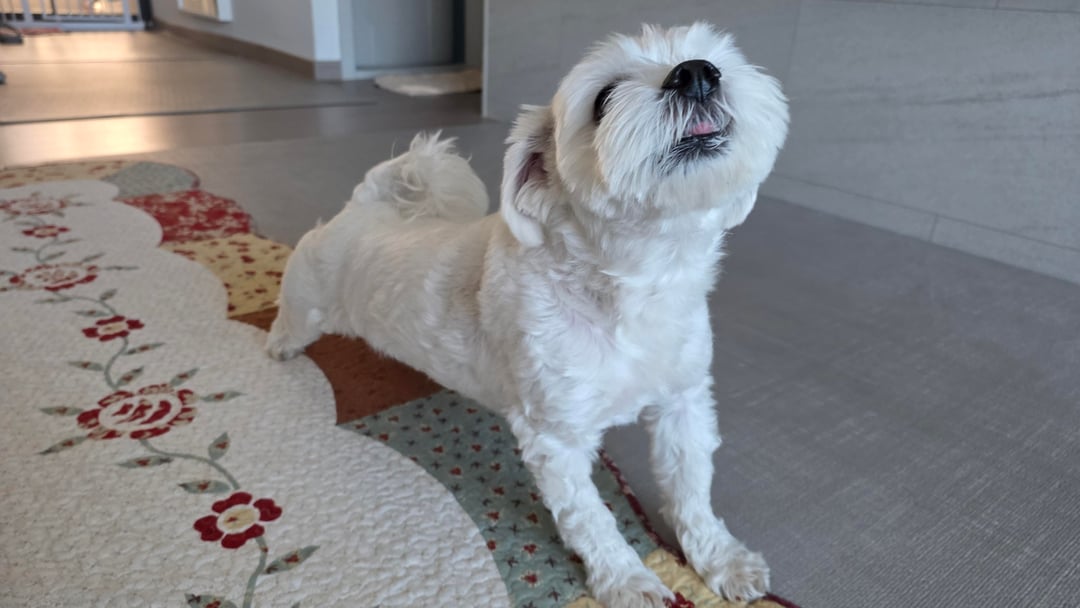 251219 Weverse: Jungwon