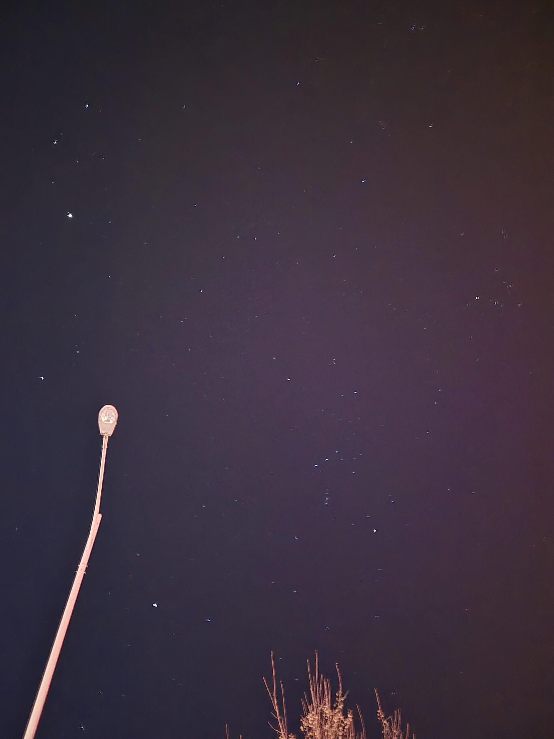 251223 Weverse: Jungwon