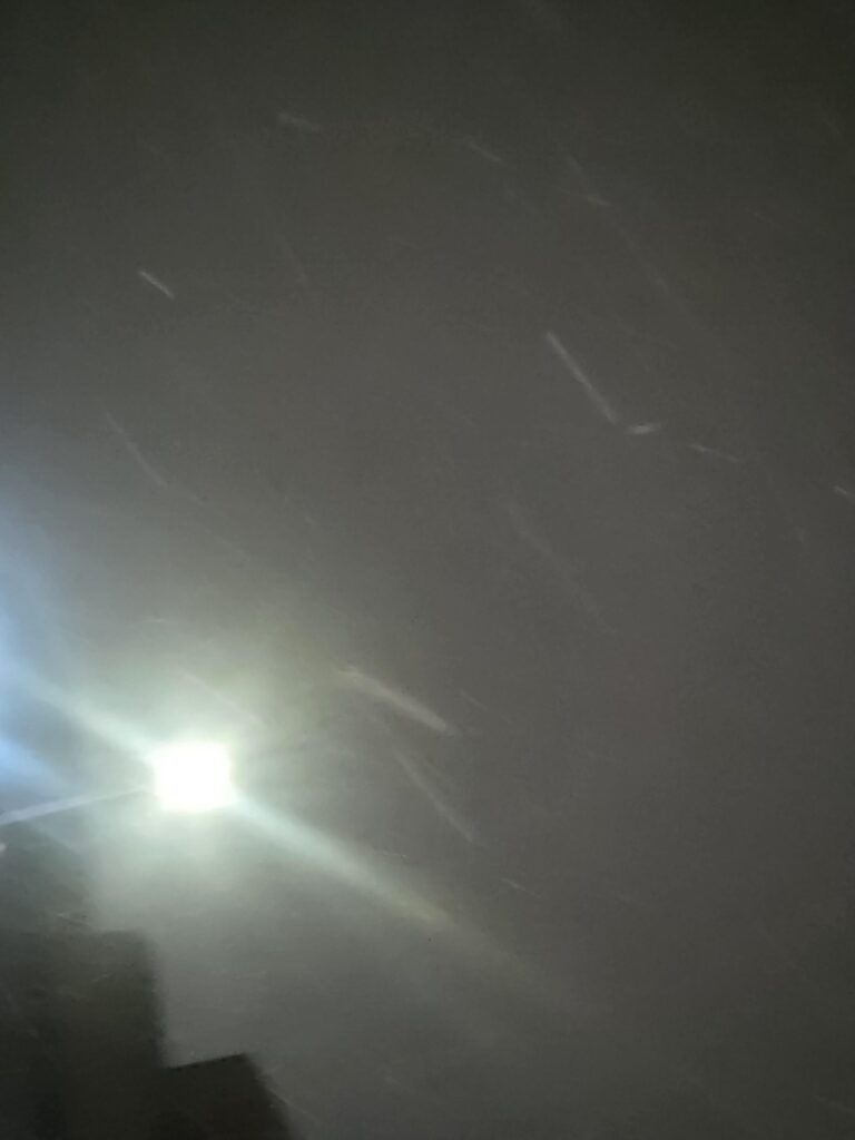 251204 Weverse: Sunoo