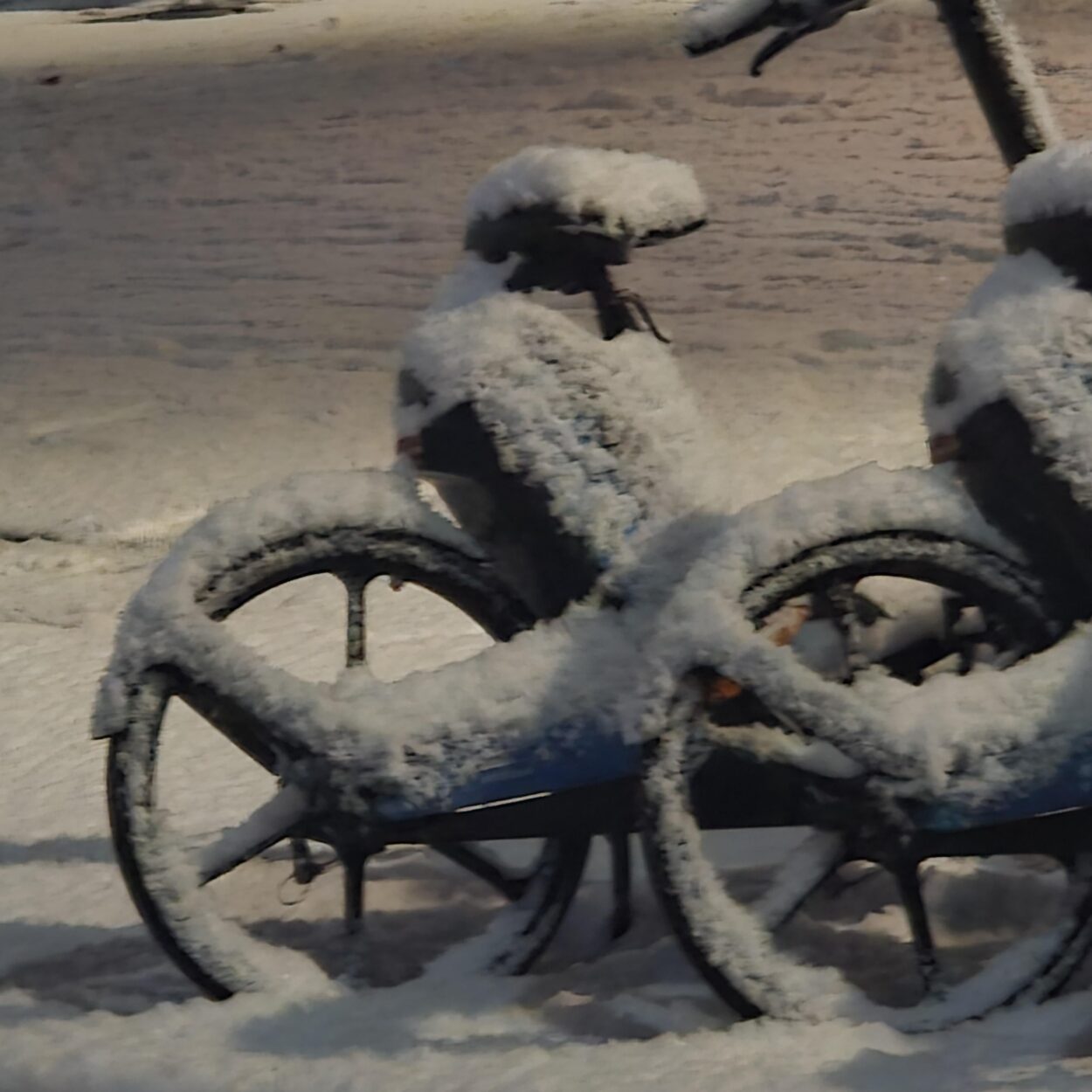 251204 Weverse: Jake