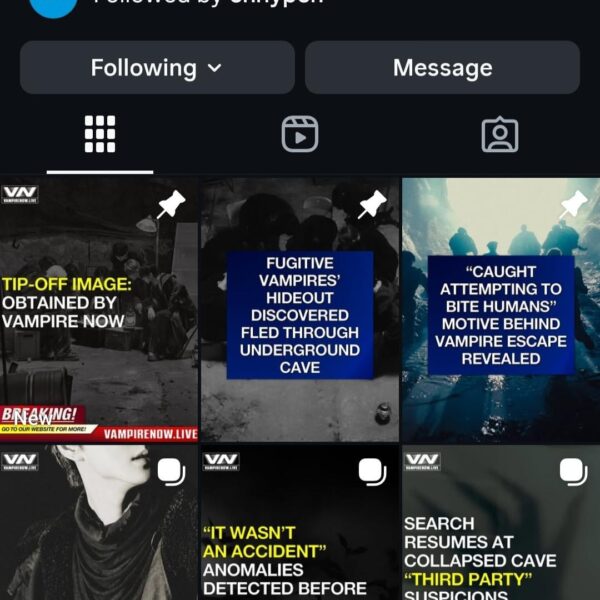 What this account is even about ? And how it is related to the upcoming album?