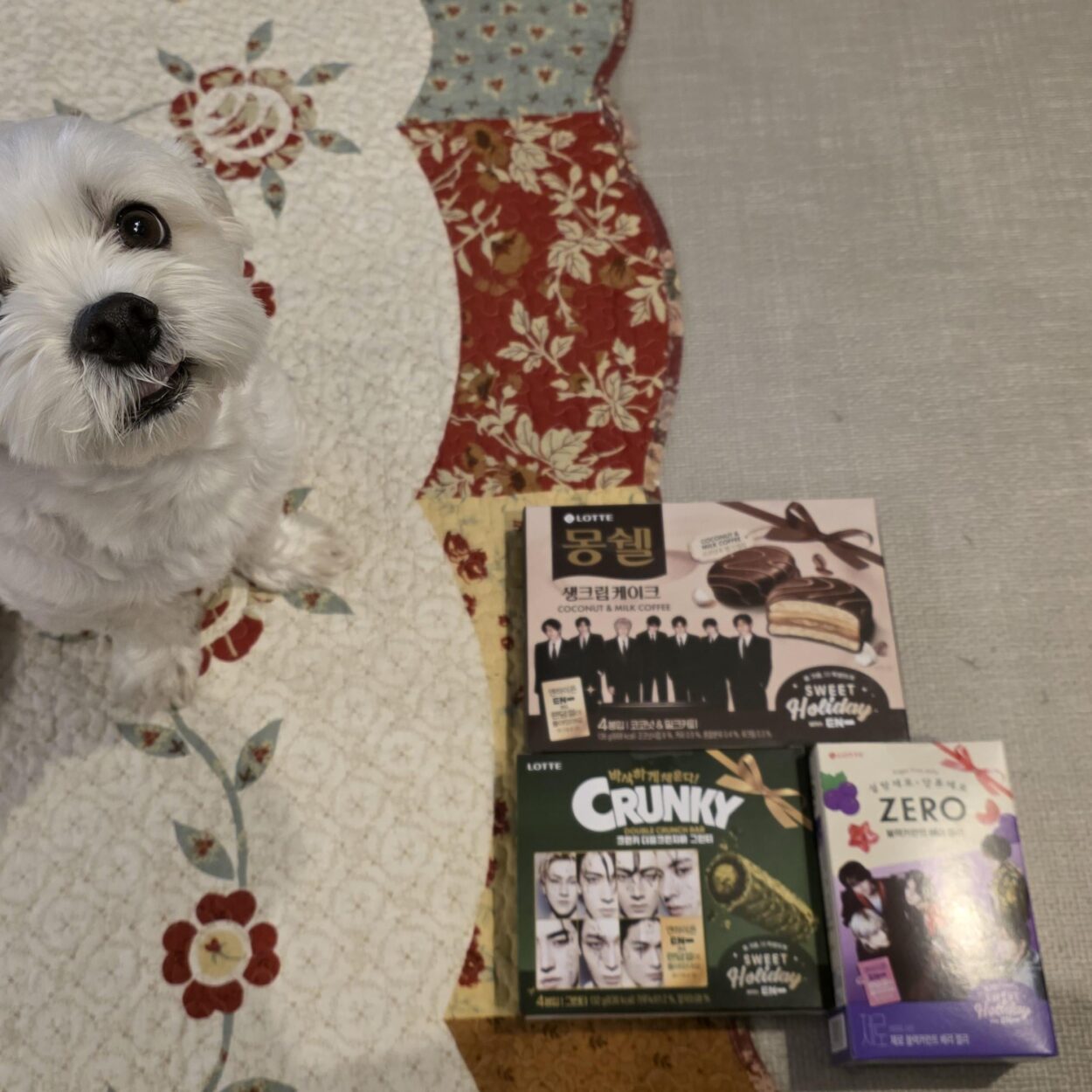 251210 Weverse: Jungwon