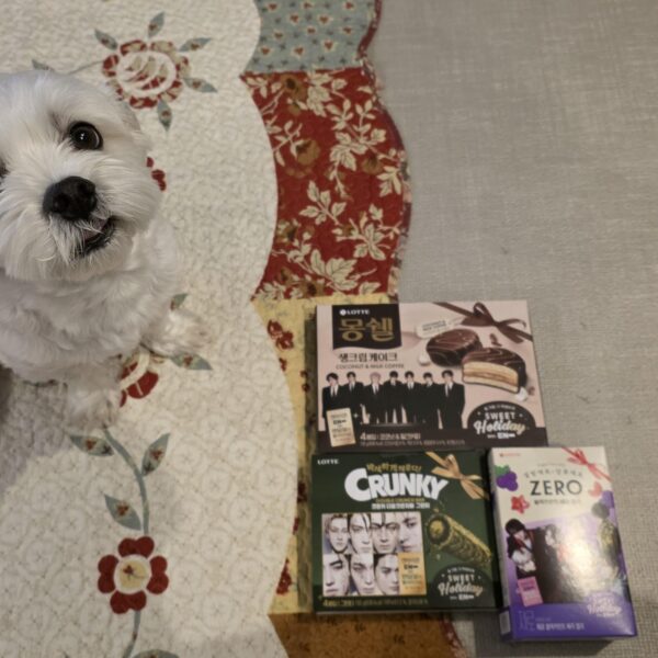 251210 Weverse: Jungwon