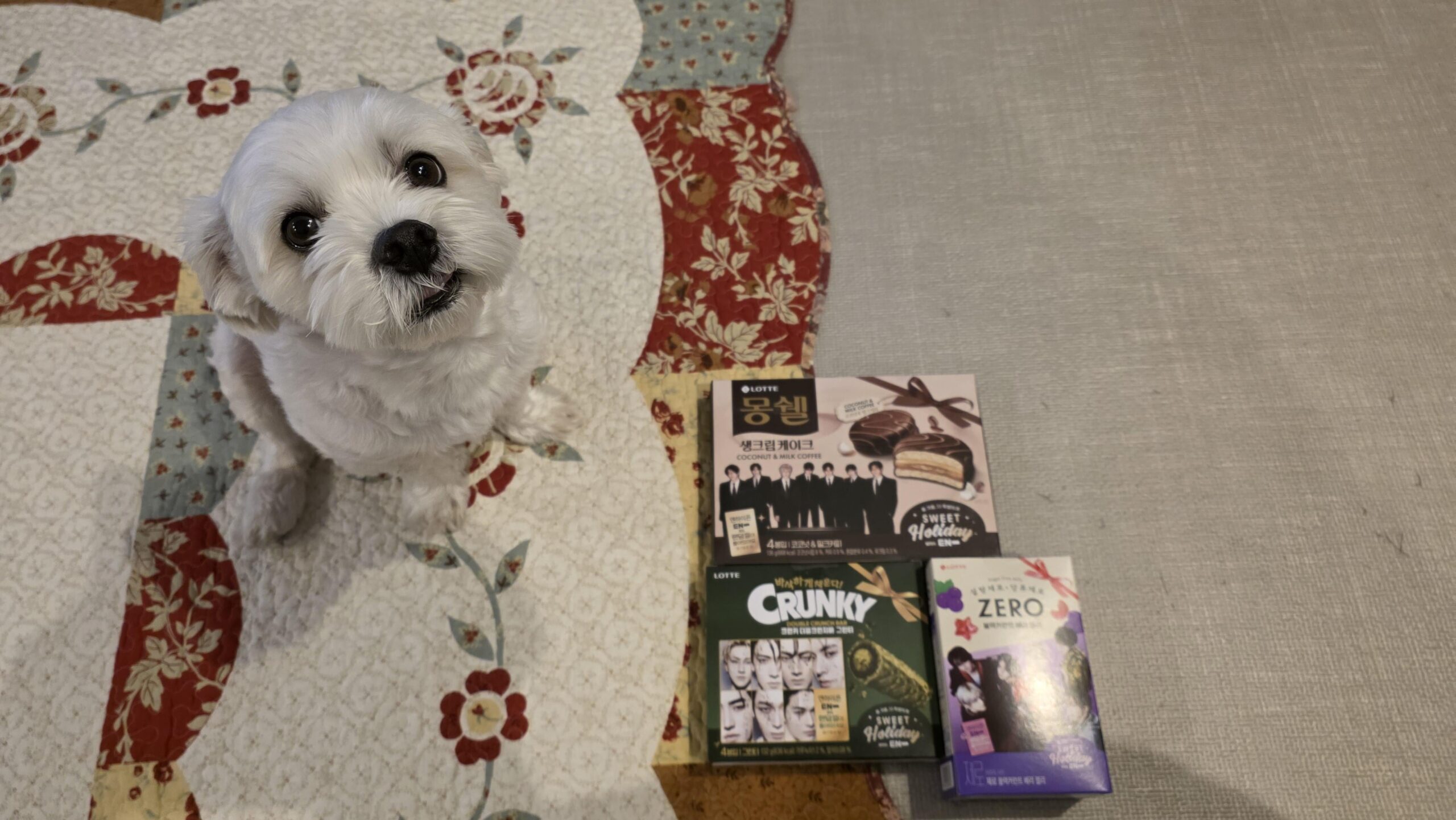 251210 Weverse: Jungwon