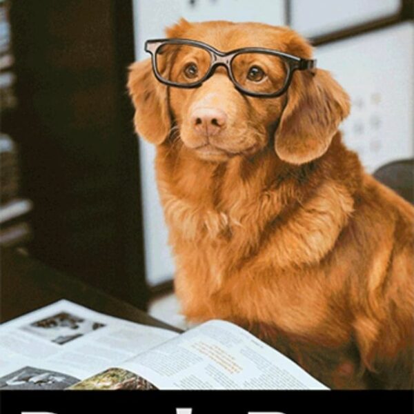 They're even updating the ads in the VampireNow website!