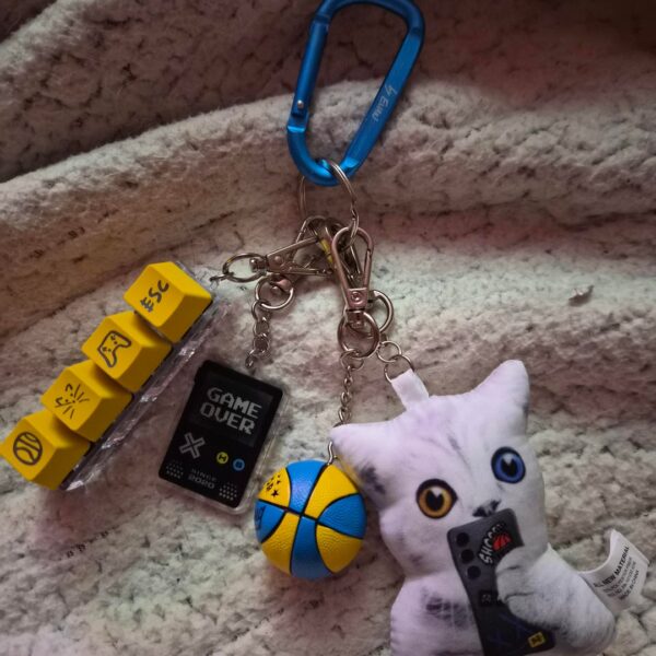 Heeseungs Unserious Keychain