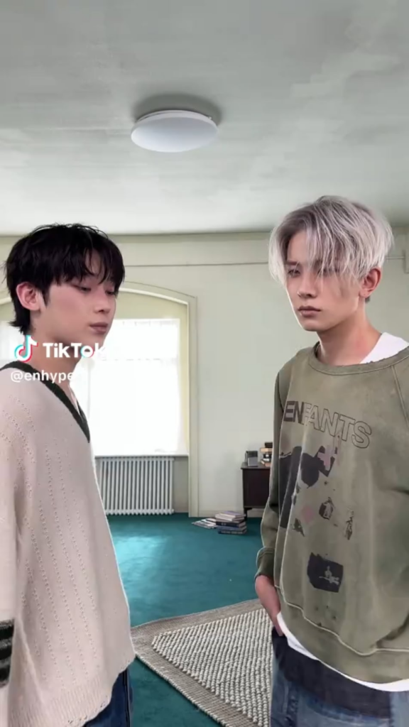 260119 TikTok: Sunoo & Heeseung @ Knife