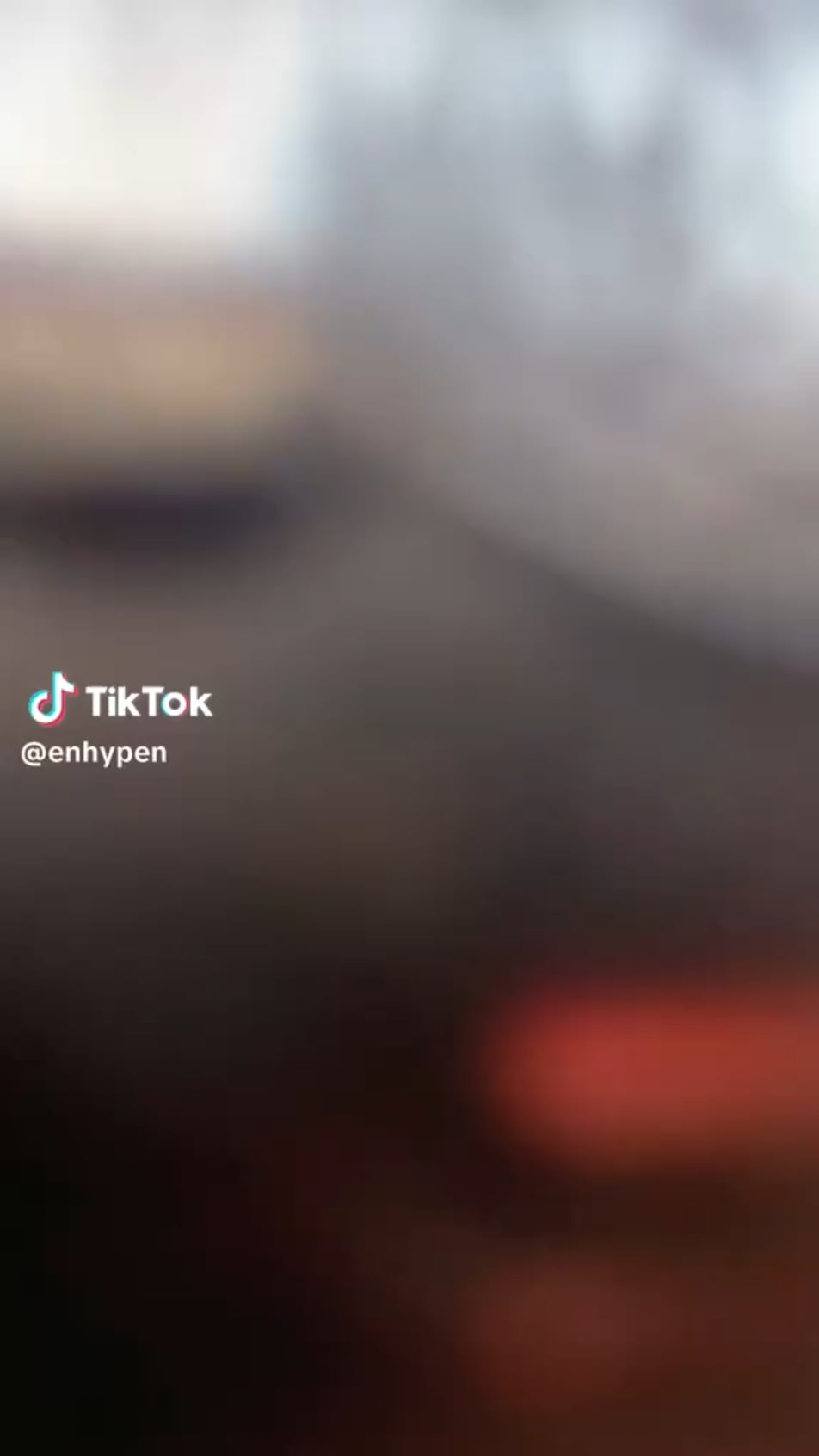 260104 TikTok: Jake @ Stealer