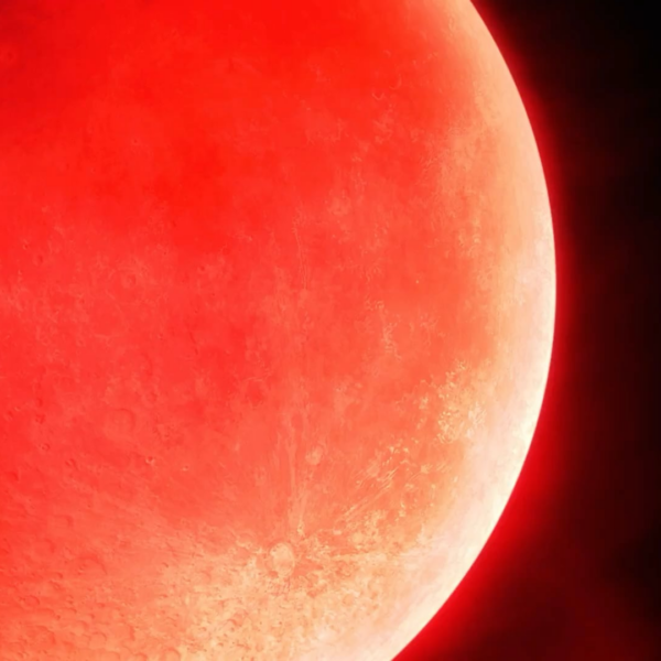 260104 DARK MOON VAMPS Twitter/X Update