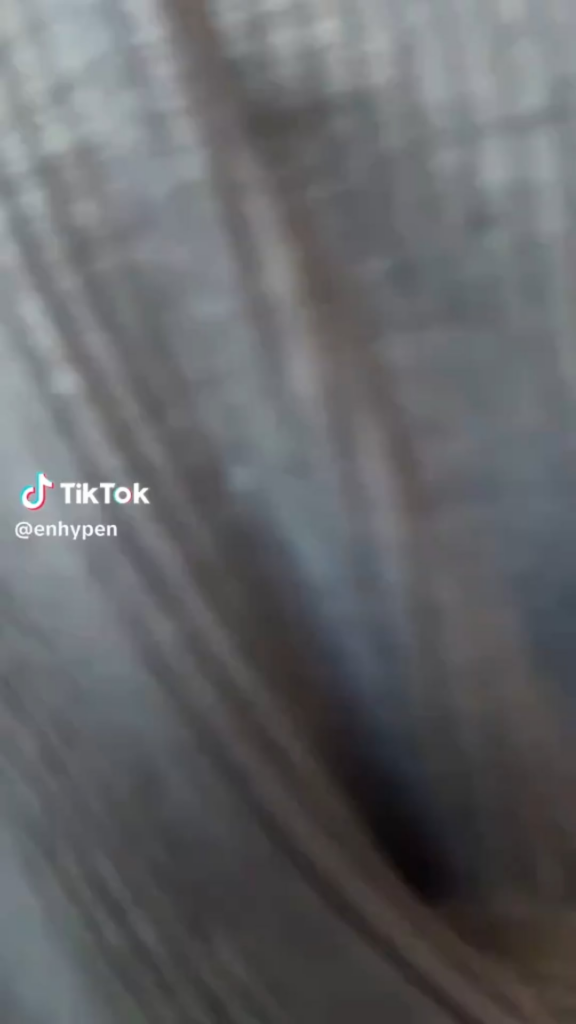 260114 Tiktok: Jay