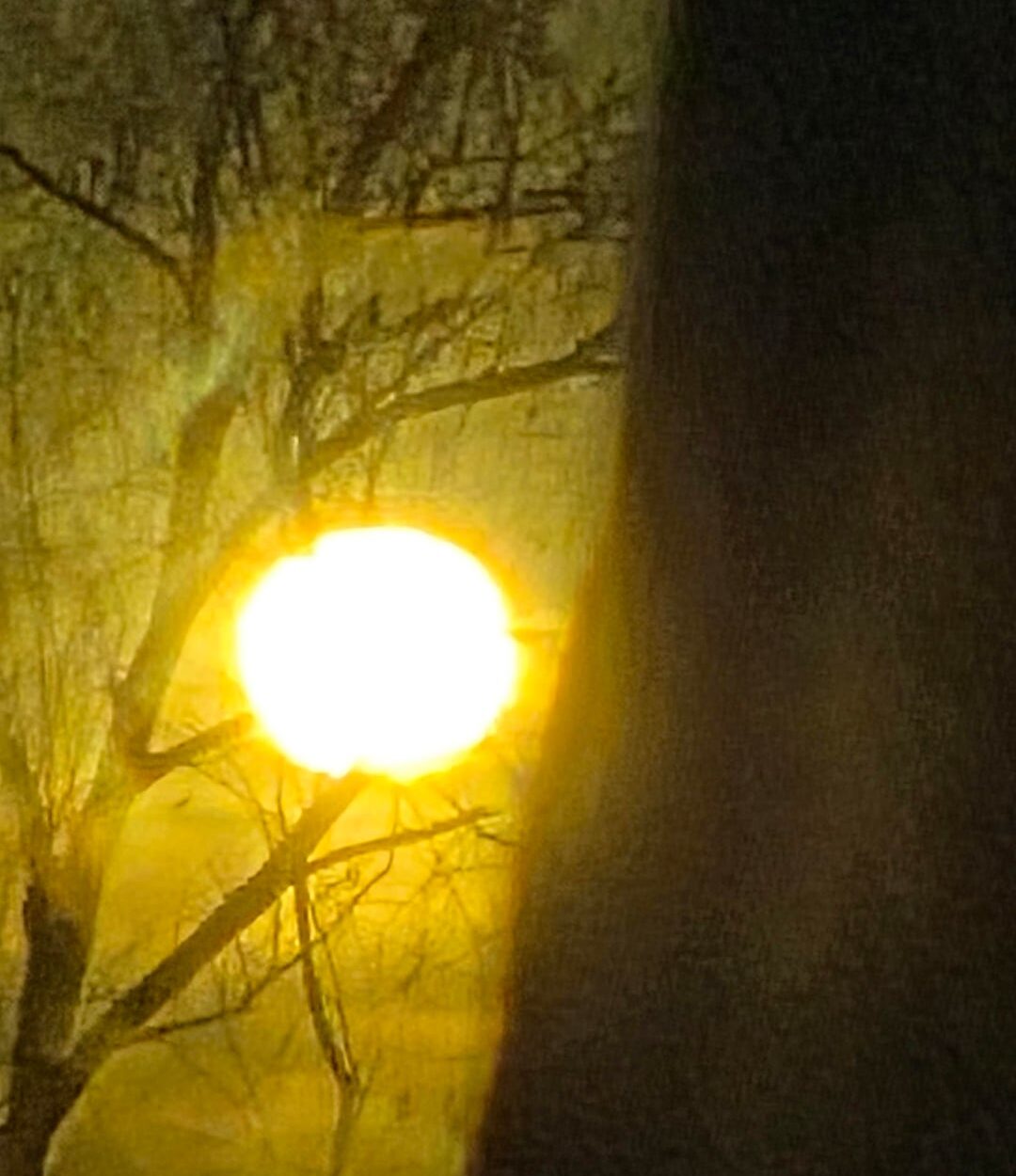 260101 Weverse: Sunoo