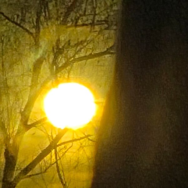 260101 Weverse: Sunoo