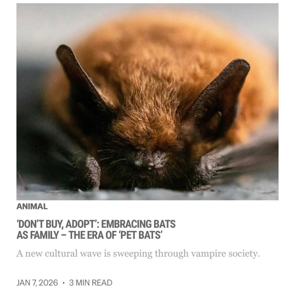 260107 Vampire Now added a new article to the World section of their website