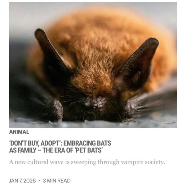 260107 Vampire Now added a new article to the World section of their website