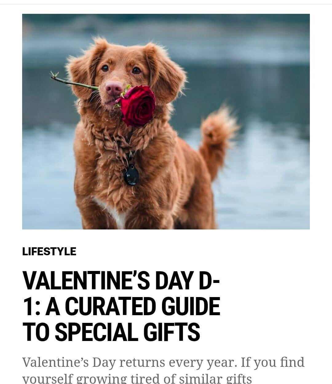 260213 VAMPIRE NOW Published a new Lifestyle article