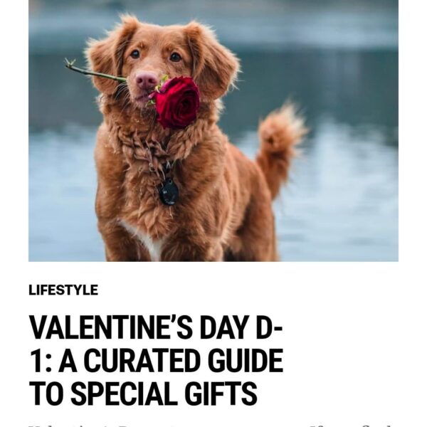 260213 VAMPIRE NOW Published a new Lifestyle article