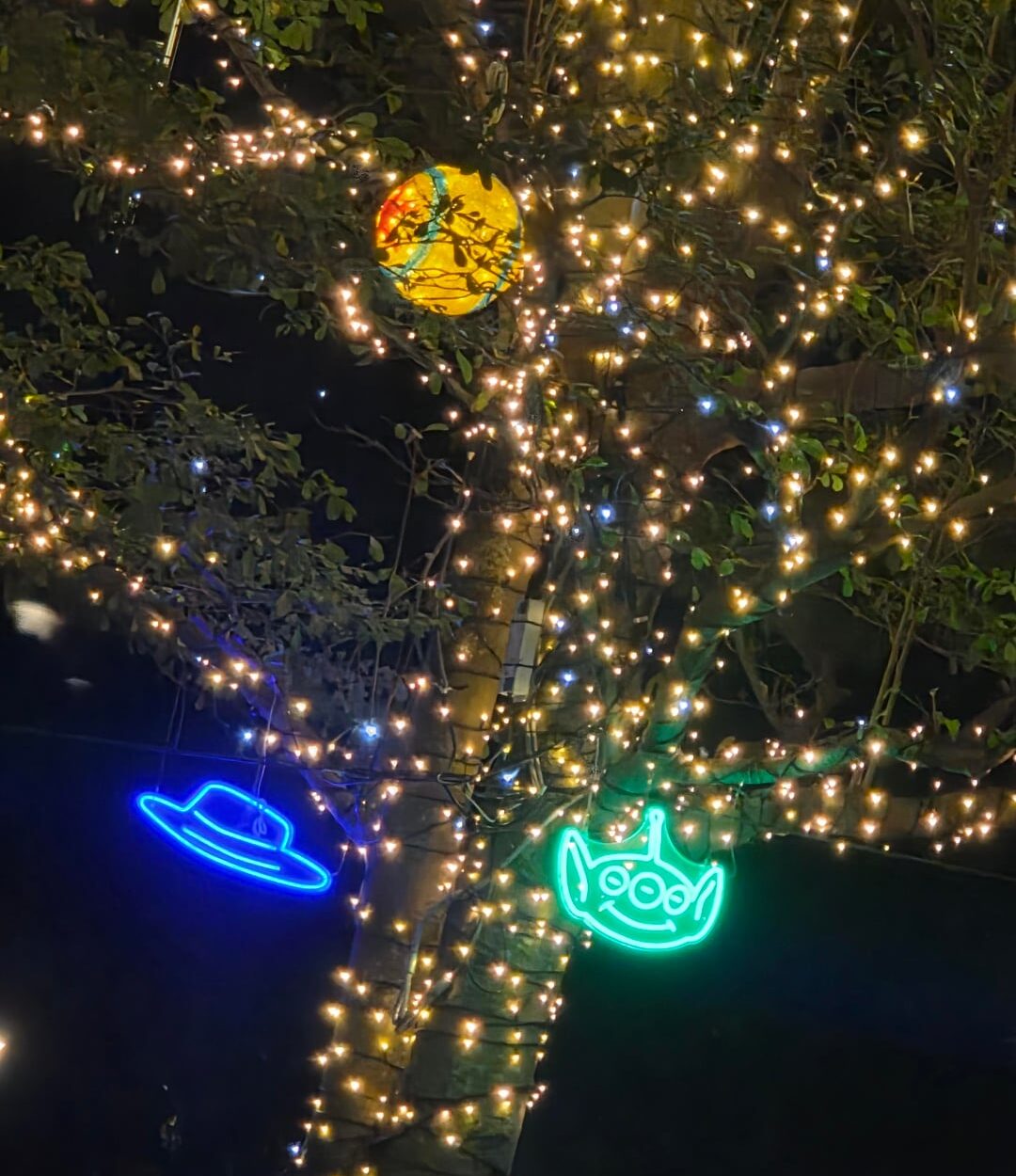 260206 Weverse: Sunoo