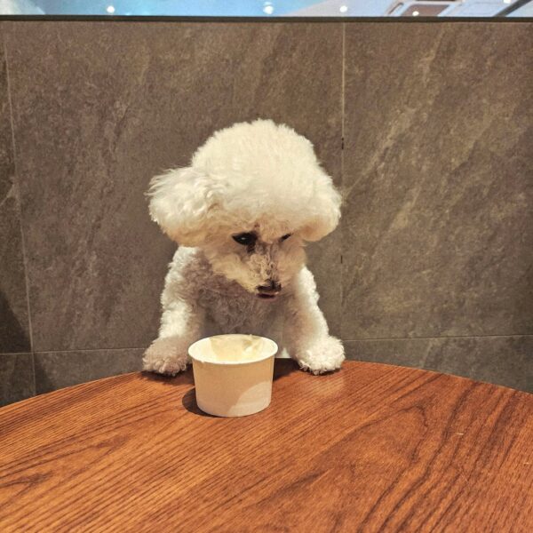 260323 Weverse: Sunghoon