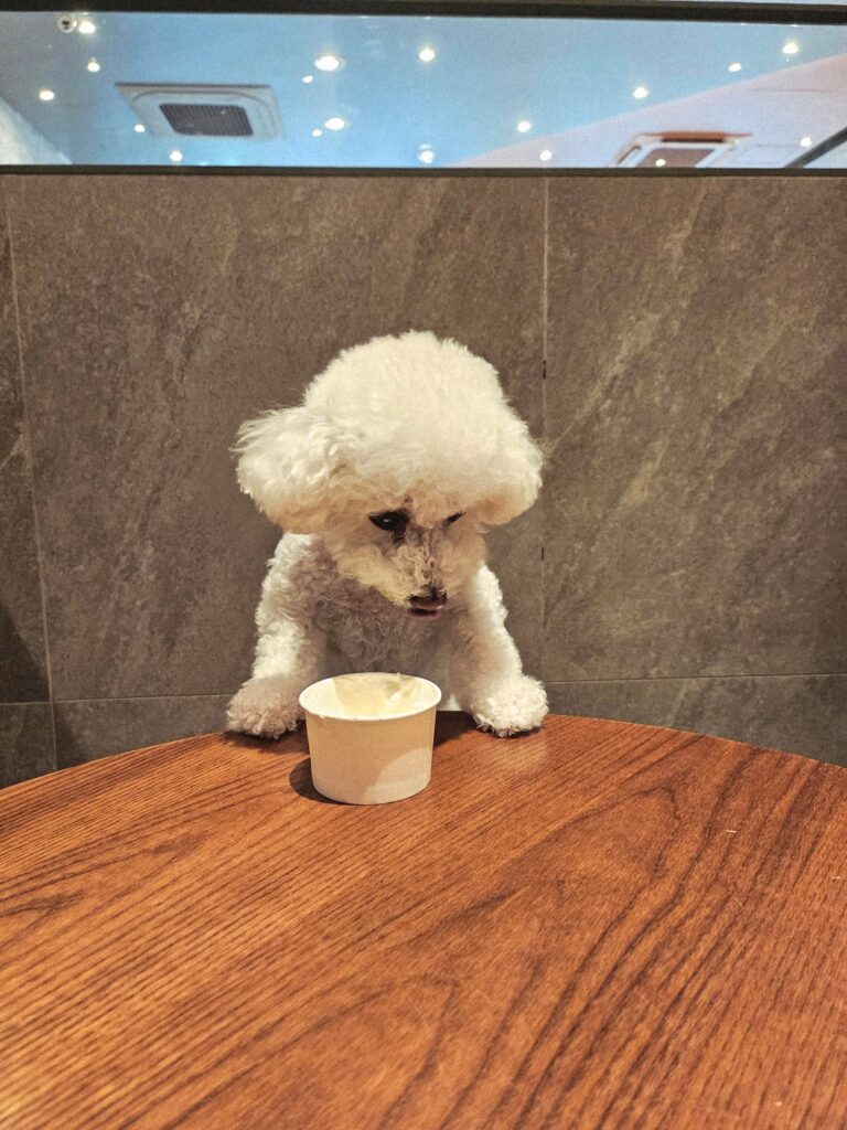 260323 Weverse: Sunghoon