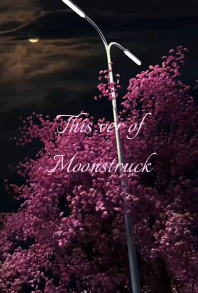 WHY IS MOONSTRUCK'S DEMO VER. NOT TALKED ABT ENOUGH??!!!?