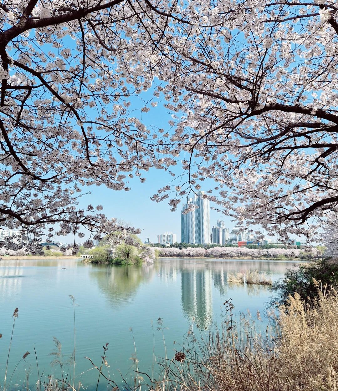 260408 Weverse: Sunoo